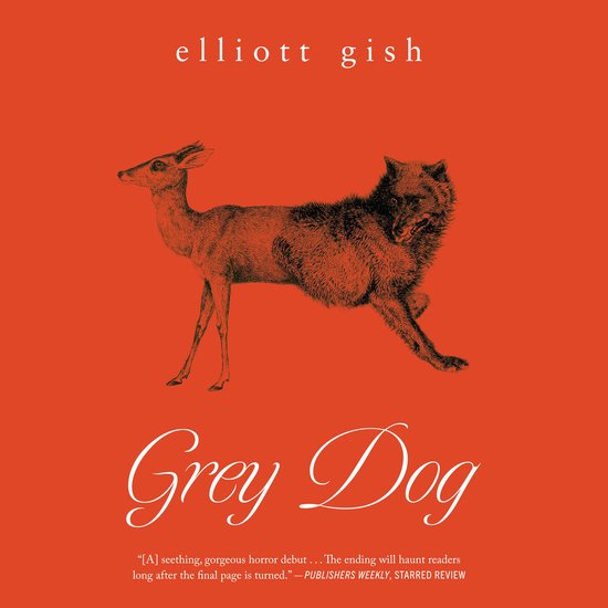 Grey Dog - cover