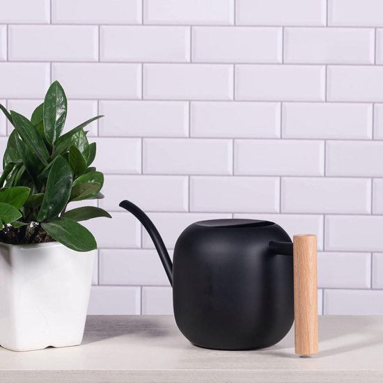 Monstera Gatenplant in Terra Cotta Pot kopen