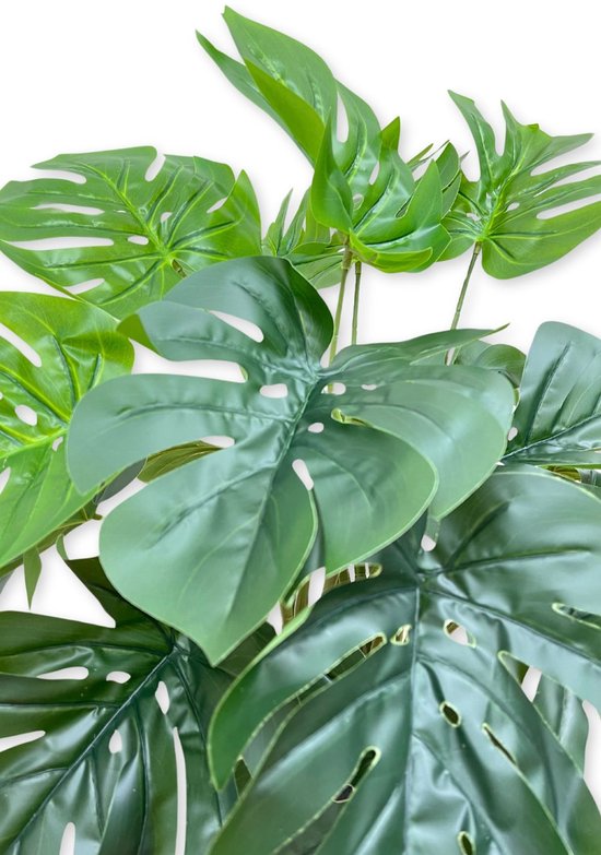 cat monstera Pipaluk Vinyl Sticker