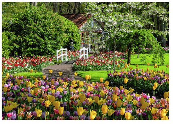 Puzzel Keukenhof Gardens 1000 stukjes - Legpuzzel landschap.