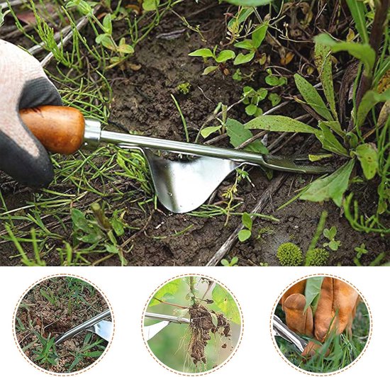 Onkruidverwijderaar - Handmatig Tuin Gereedschap voor Grassen en Paardenbloemen - 31 cm RVS Y-vorm van Vounot — afbeelding 5