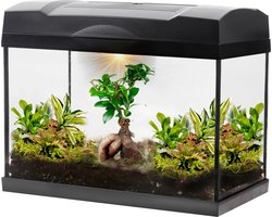 vdvelde.com - Jungle Bonsai Mega Terrarium - 1 bonsai + 5 groene planten - Afmetingen: 39x21x31 cm - Verlichting op netstroom vdvelde.com - Jungle Bonsai Mega Terrarium - 1 bonsai + 5 groene planten - Afmetingen: 39x21x31 cm - Verlichting op netstroom