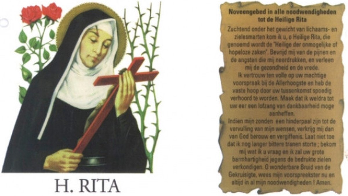Noveenkaars Wit H.rita 07