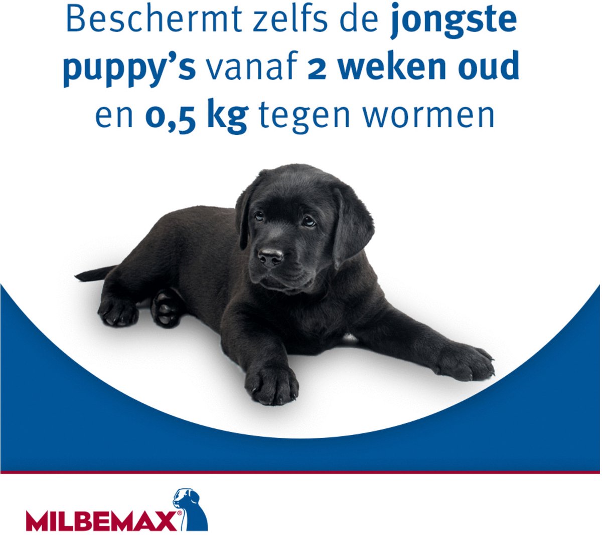 Milbemax Milbemax Pup & Hond - Anti wormenmiddel - 4 tab 0.5 Tot 10 Kg — afbeelding 6