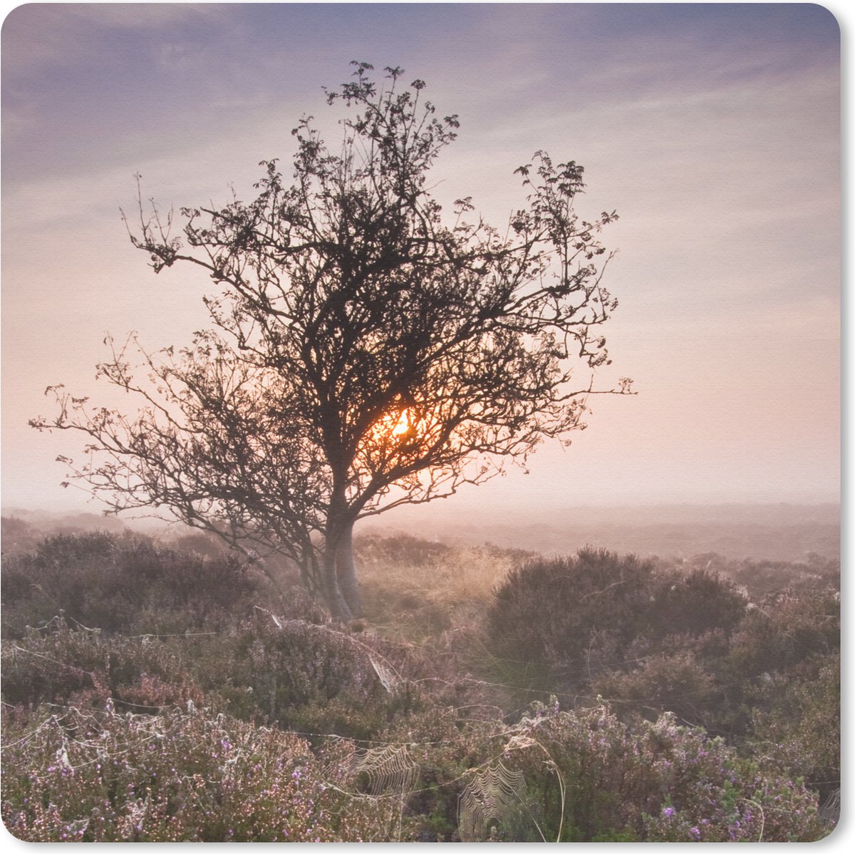 Muismat 20x20 cm - Mousepad De heide bij zonsopgang - Muismatten
