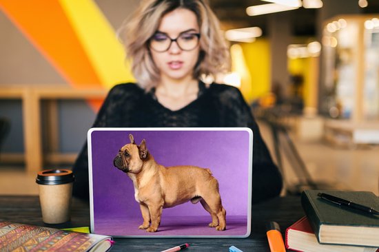 Sticker pour ordinateur portable - 10,1 pouces - Bouledogue français avec un fond violet