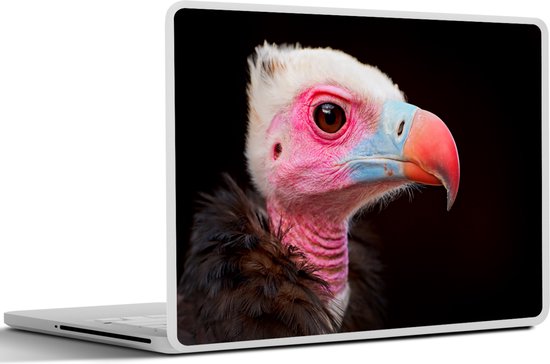 Sticker pour ordinateur portable - 15,6 pouces - Vautour - Vogel - Bec