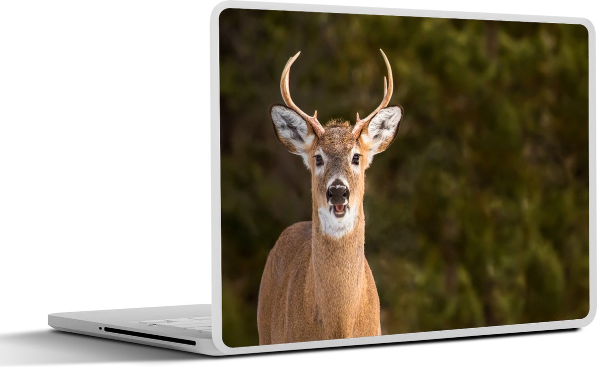 Laptop sticker - 17.3 inch - Hert - Hertenkop - Natuur - 40x30cm - Laptopstickers - Laptop skin - Cover