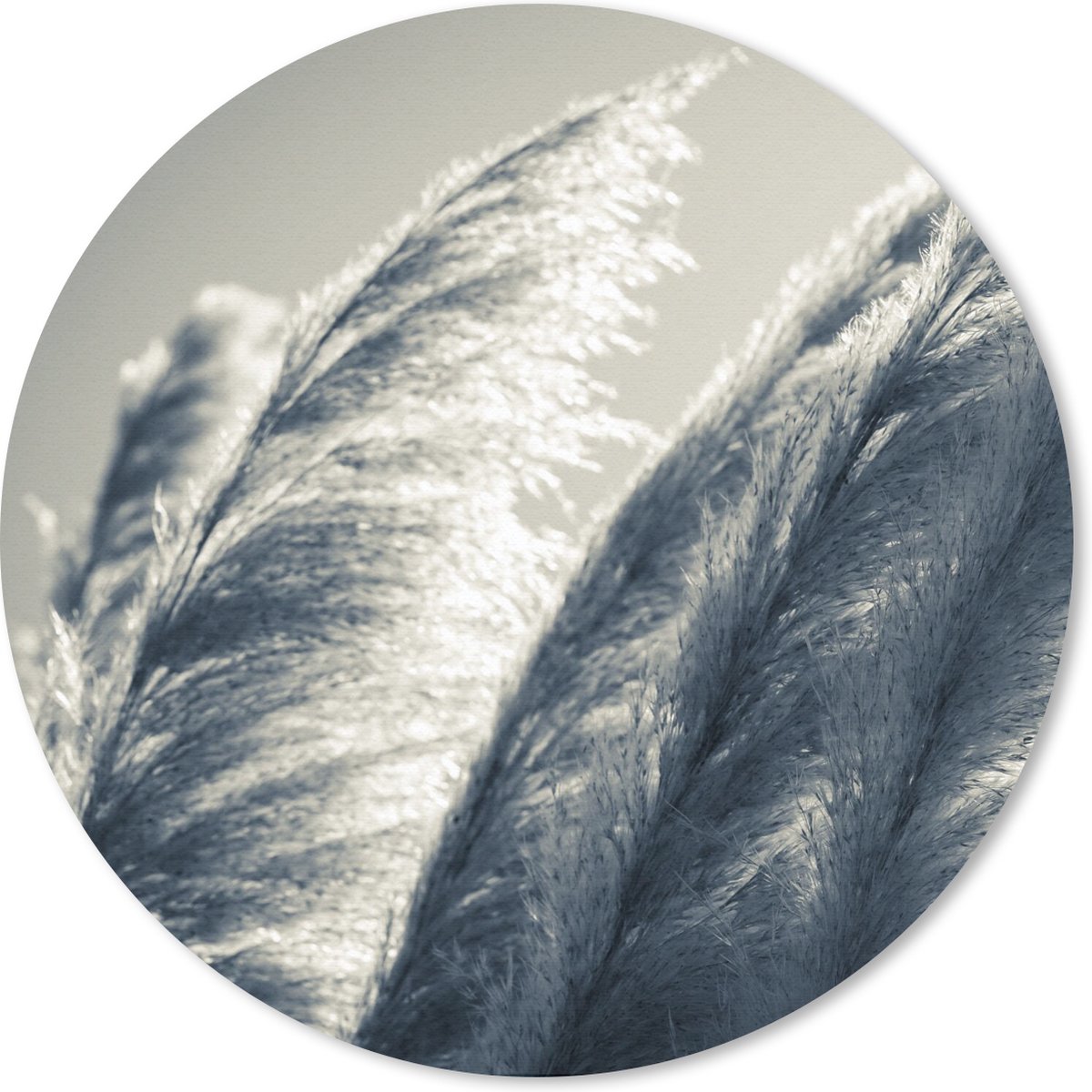 Muismat rond 50x50 cm - Mousepad Pampasgras - Zwart - Wit - Natuur - Ronde muismatten