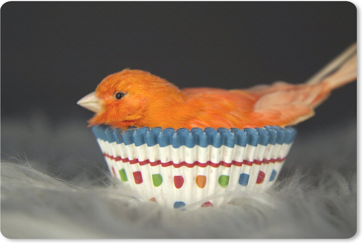 Muismat Dieren op een zwarte achtergrond - Oranje vogel in een cupcake op zwarte achtergrond muismat rubber - 27x18 cm - Muismat met foto