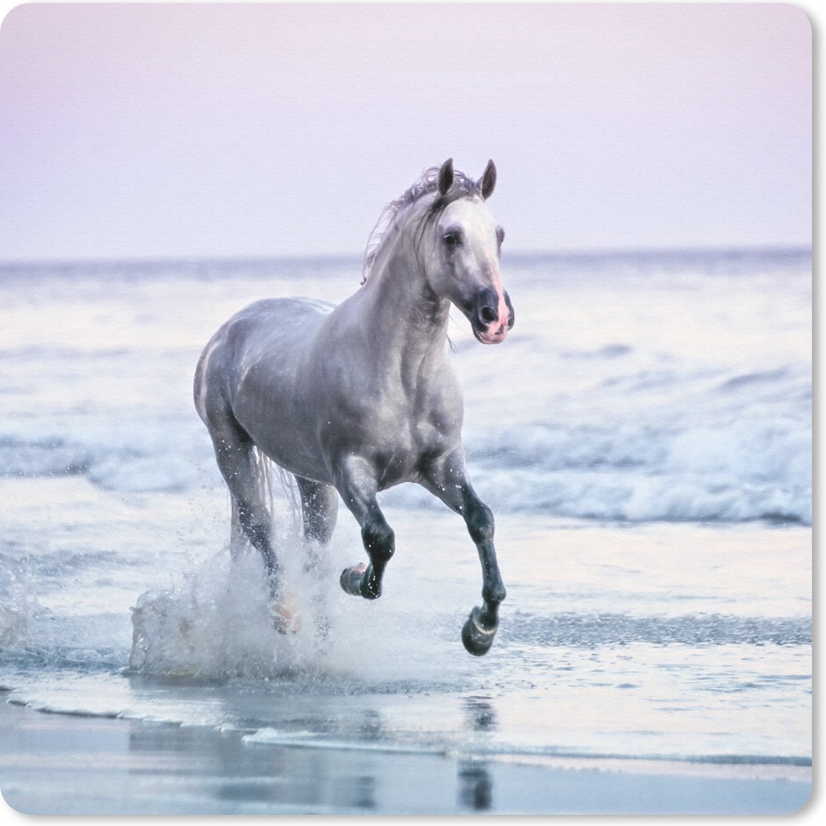 Muismat 30x30 cm - Mousepad Paarden - Lucht - Zee - Muismatten