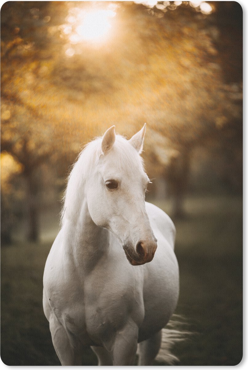 Muismat 18x27 cm - Mousepad Paard - Zon - Herfst - Dieren - Natuur - Muismatten