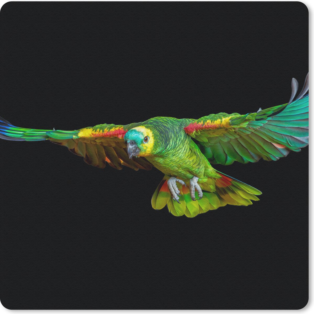 Muismat 30x30 cm - Mousepad Papegaai - Vogel - Veren - Muismatten