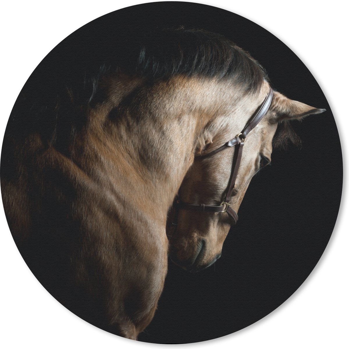 Muismat rond 50x50 cm - Mousepad Paarden - Halster - Zwart - Ronde muismatten