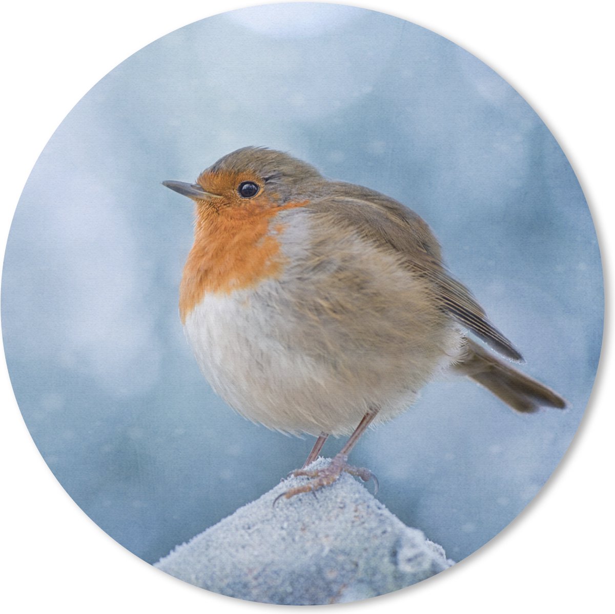 Muismat rond 30x30 cm - Mousepad Roodborstje - Winter - Blauw - Ronde muismatten