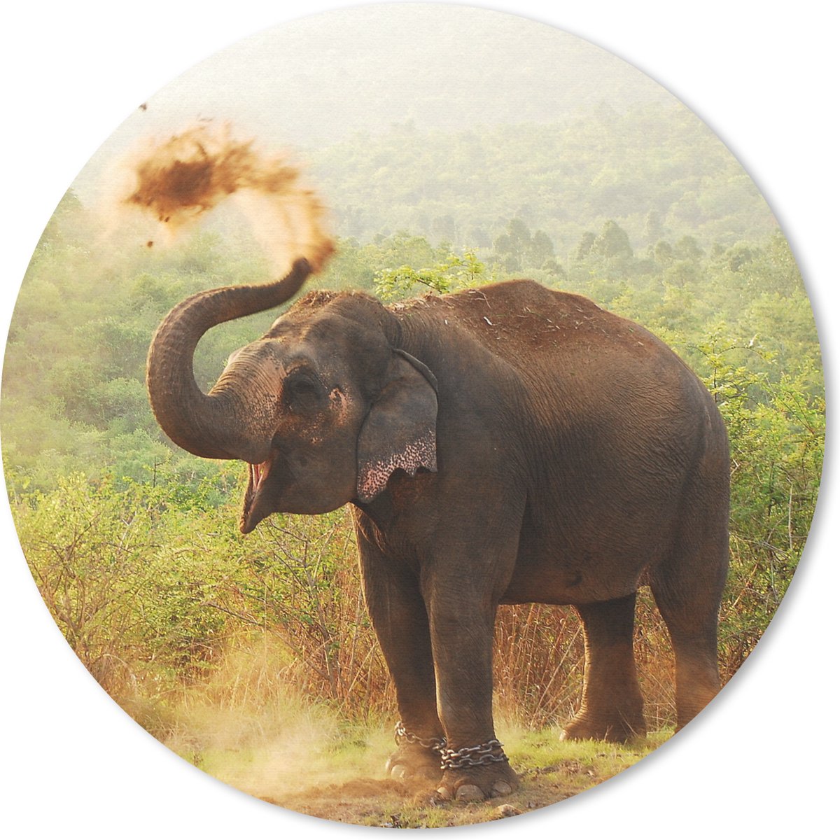 Muismat rond 40x40 cm - Mousepad Olifant - Dieren - Bos - Bomen - Ronde muismatten