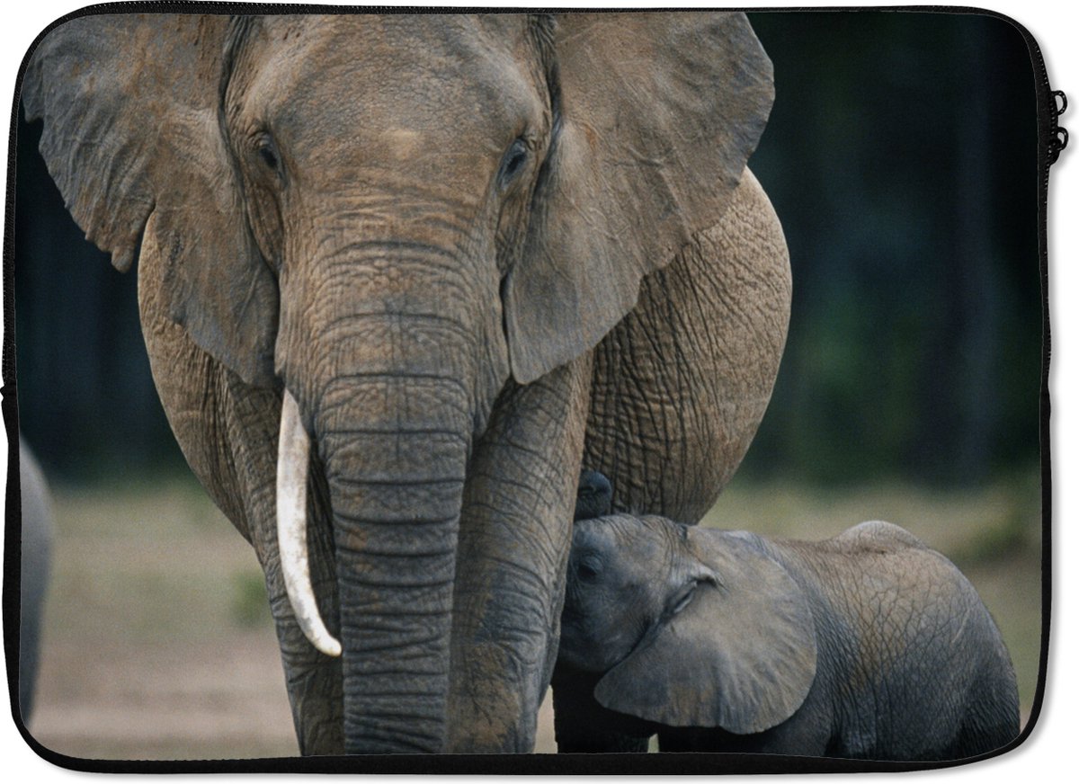 Laptophoes 14 inch - Olifant - Dieren - Vlakte - Natuur - Laptop sleeve - Binnenmaat 33x23 cm - Zwarte achterkant