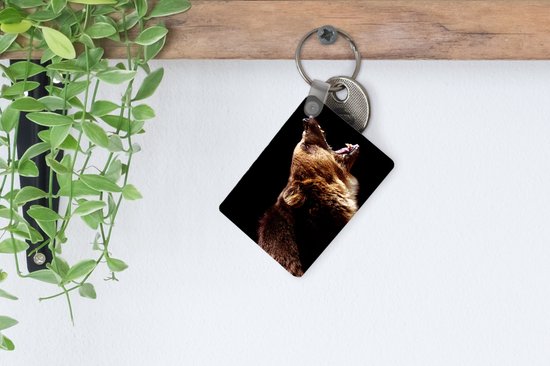 Porte-clés - Ours - Animal sauvage - Dents - Cadeaux - Plastique