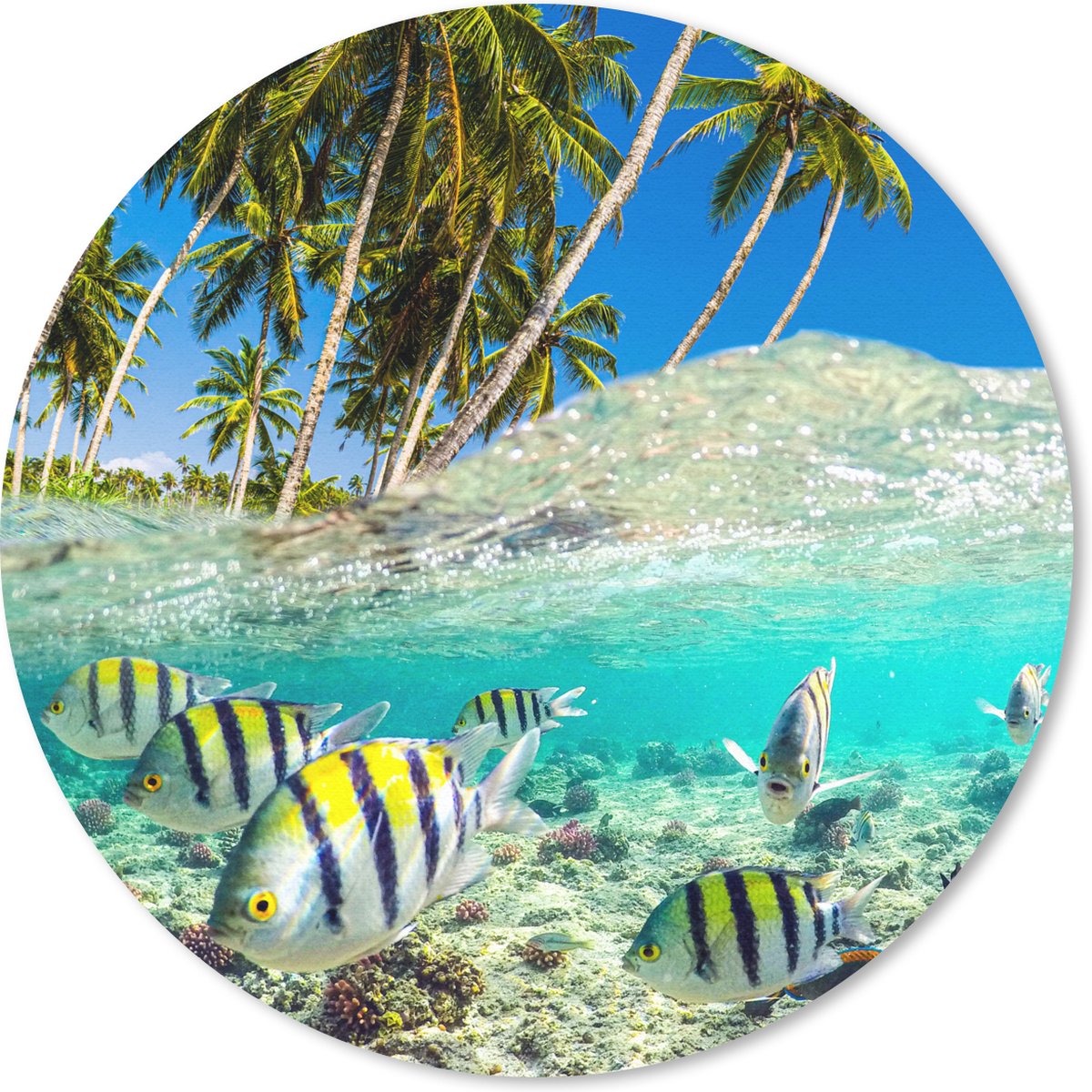 Muismat rond 50x50 cm - Mousepad Zee - Vissen - Koraal - Ronde muismatten