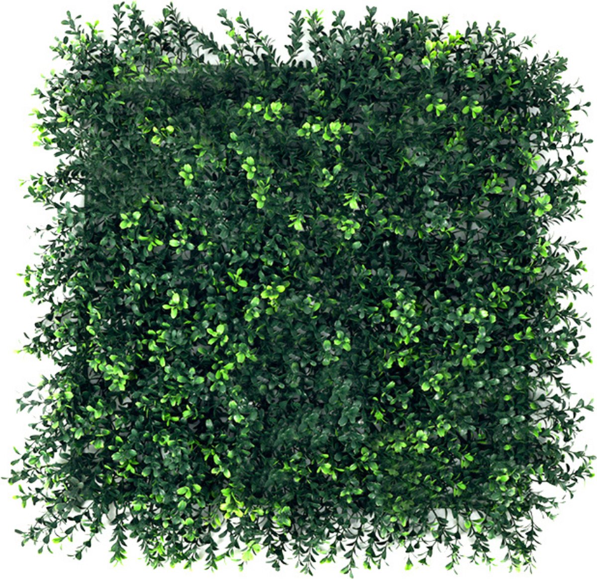 Buxibo Kunsthaag Set - 4x50x50 cm - Groene Wand - Kunstklimop - Namaak Plant - Balkonscher