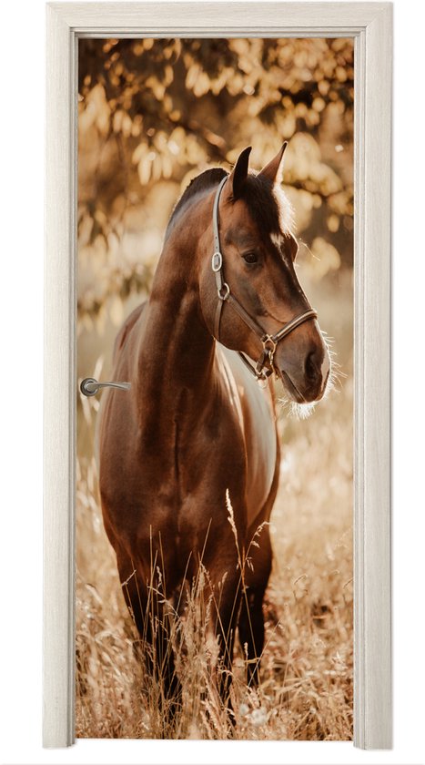 Sticker porte enfant - Sticker enfant - Décoration porte enfant - Cheval - Soleil - Portrait - Nature - Marron - 75x205 cm - Décoration chambre enfant