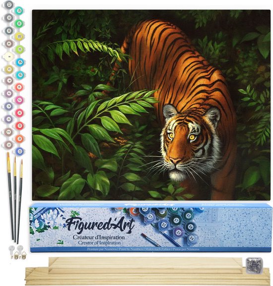 Figured'Art Schilderen op Nummer Volwassenen canvas Tijger in de varens - Handwerk acrylverf Kit DIY Compleet - 40x50cm met DIY houten lijst