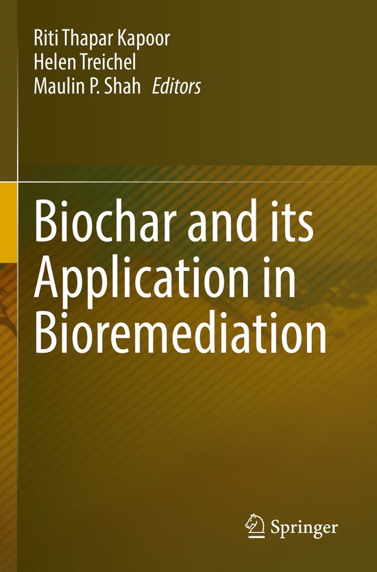Biochar and its Application in Bioremediation - cover