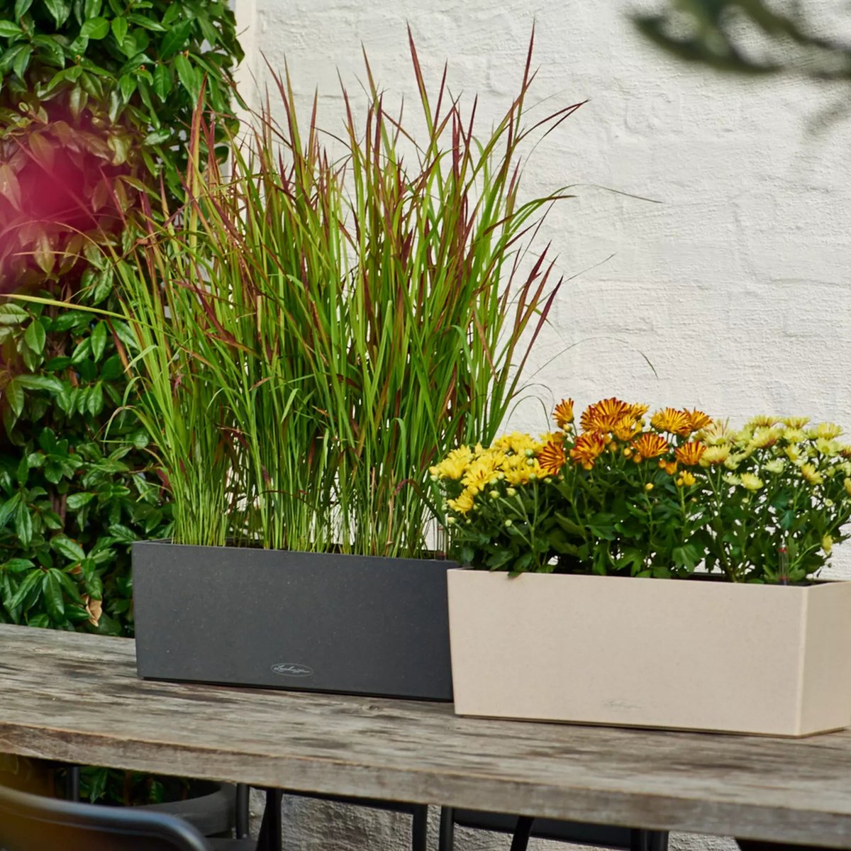 Lechuza Balconera Stone 50 - Planter - removable inner pot