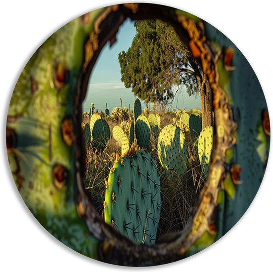 doorkijk rond schilderij - Cactus muurdecoratie rond - Wandbord Plant - Schilderij vintage - Wandcirkels - Muur kunst muurcirkel forex 60x60 cm