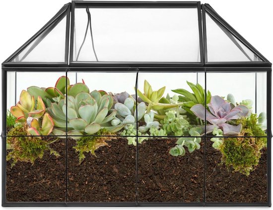 QWORK® Geometrisch terrariumglas, plantenterrarium, voor cactussen, vetplanten, zwart, 22 x 13.5 x 18.5 cm, zonder planten