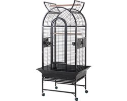 Zoravon orgazmning yaqindan surati Veronika Simonning paypoqdagi porno suratlari