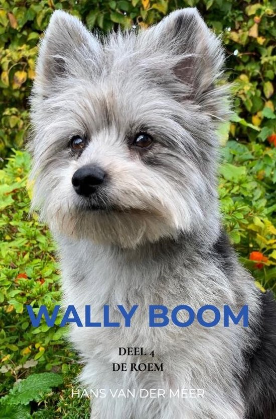 Wally Boom - cover