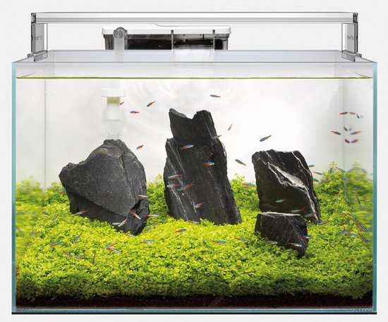 Superfish Scaper 60 - Aquaria - 50x35x35 cm 60 l Transparant