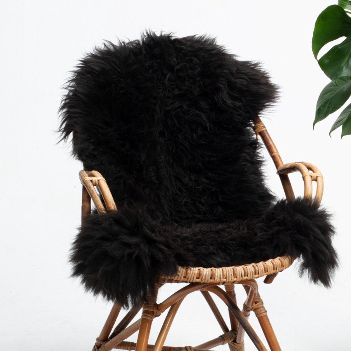 SHEEPY® | Schapenvacht | Nils (Zwart) XL (110-115cm) - Sheepy.cc
