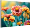 Bloemen - Gerbera