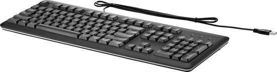 multifunctioneel Onderscheiden straal HP toetsenborden USB Keyboard | bol.com