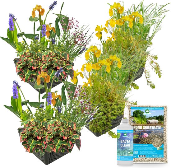 vdvelde.com - Plantenfilter Bak Planten Pakket - M - 100 cm - Voor bak 150 cm - 16 Planten - Incl. benodigdheden