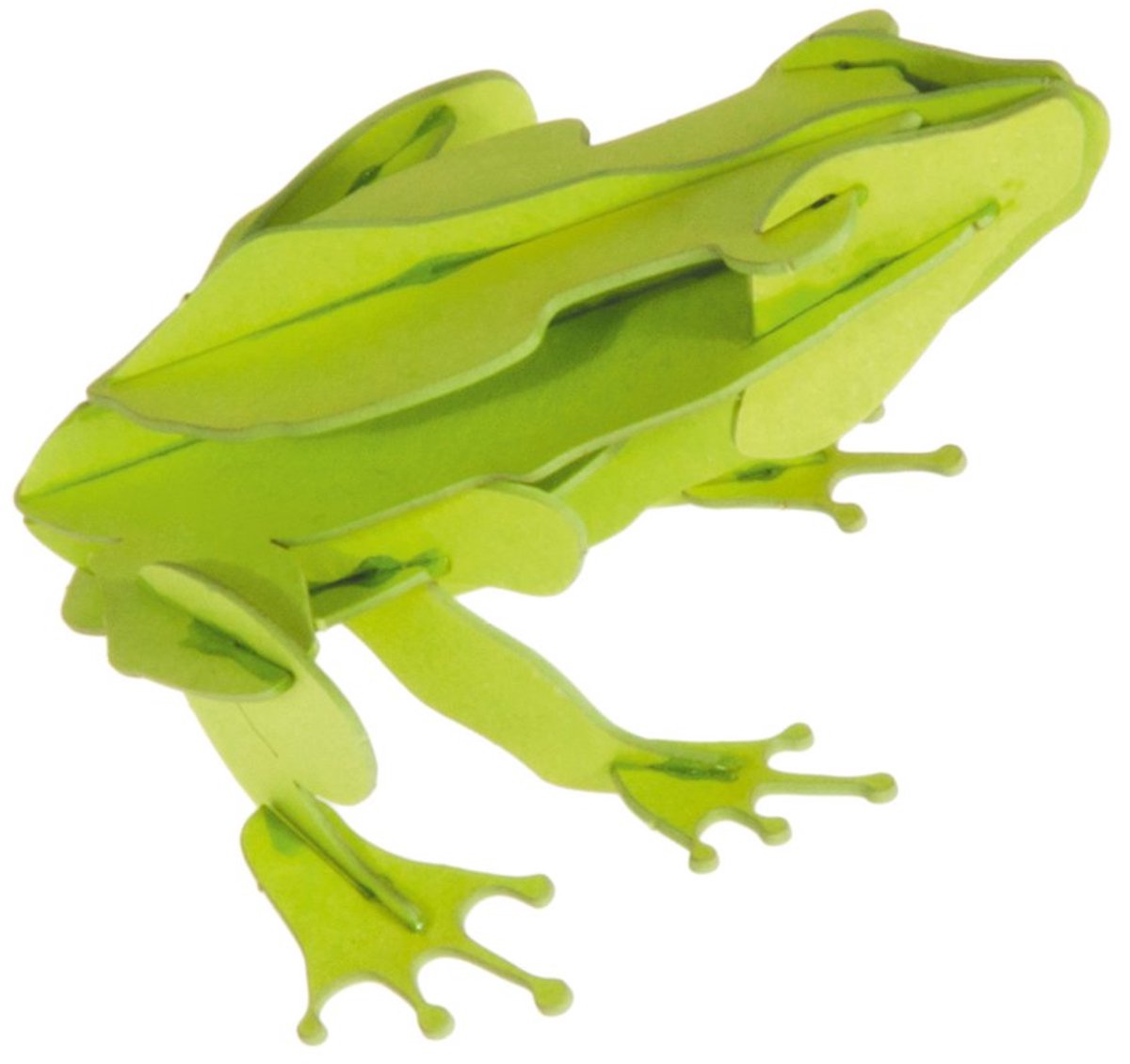 3D puzzel en bouwpakket karton model kikker
