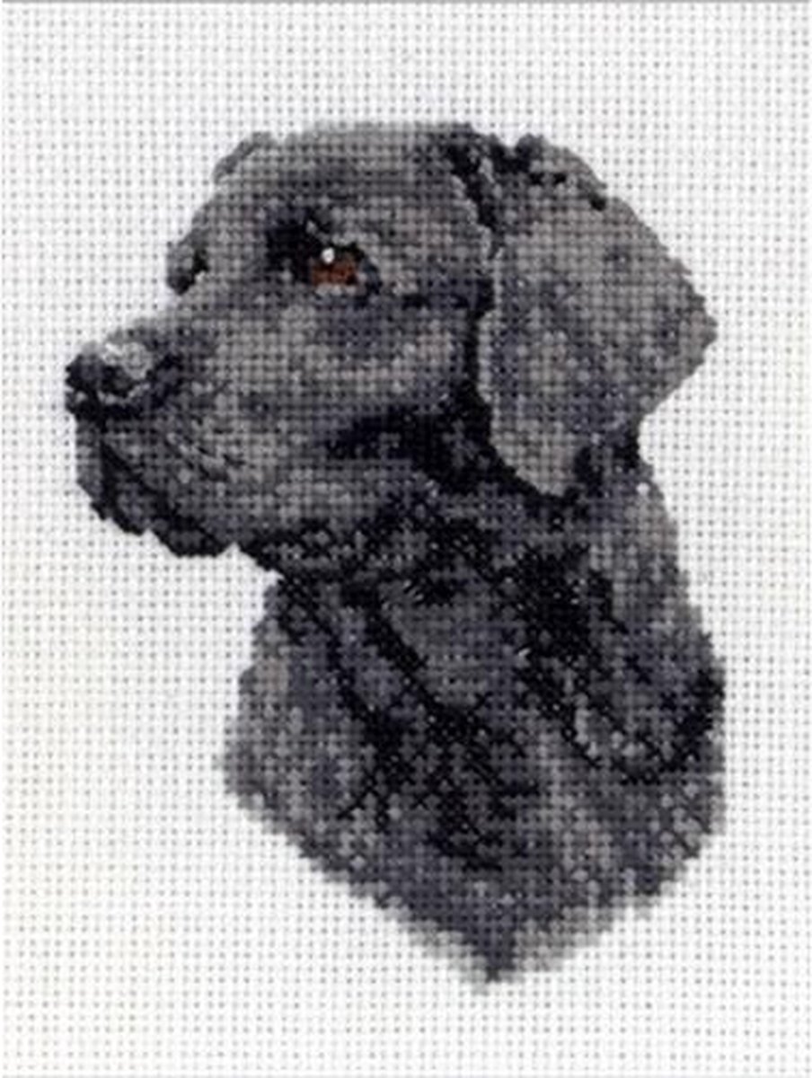 Anchor borduurpakket zwarte labrador PCE218 telpatroon