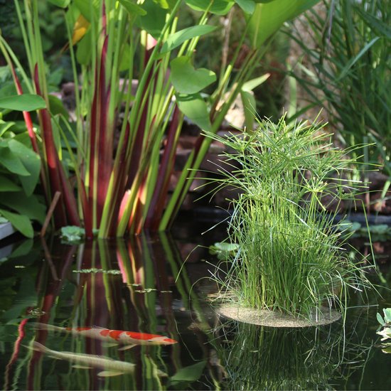 Velda Floating Plant island rond 25 cm