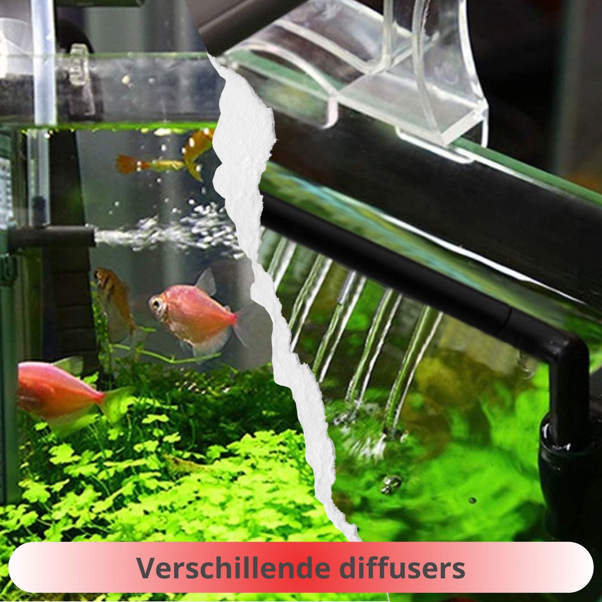 AquaKonings Aquariumfilter 600L/H 70L-150L thumbnail 5