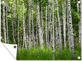 Tuinposter - Tuindoek - Tuinposters buiten - Een bos met ruwe berken in het Aziatische China - 120x90 cm - Tuin