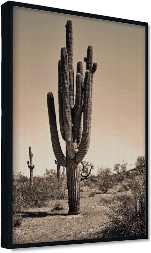 Akoestisch schilderij AcousticPro® paneel met cactus in woestijn - Design 153