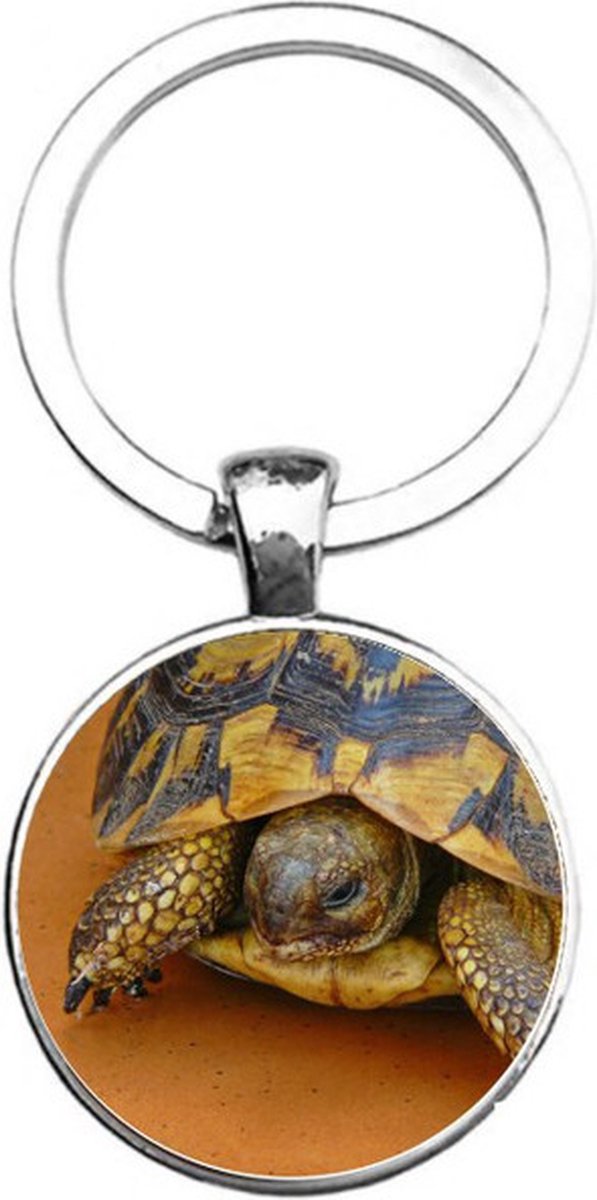 Sleutelhanger Glas - Schildpad