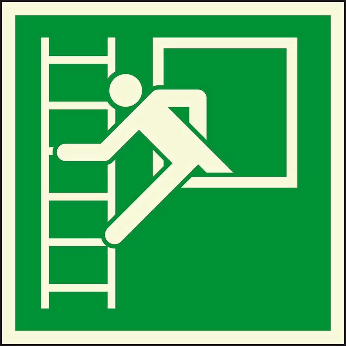 Extra lichtgevend noodraam met vluchtladder bord - kunststof 200 x 200 mm