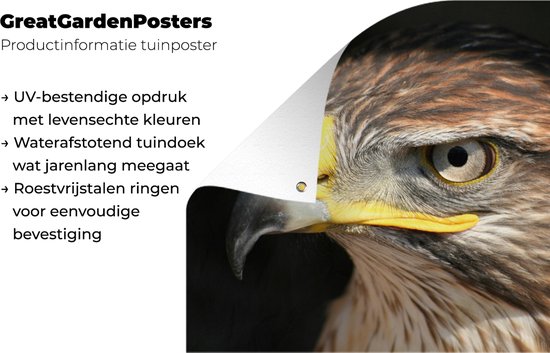 Posters de jardin Buse - Vogel - Zwart - 50x50 cm