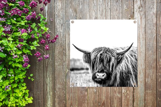 Posters de jardin Highlander écossais - Herbe - Zwart - Wit - 50x50 cm - Toile de jardin - Affiche extérieure
