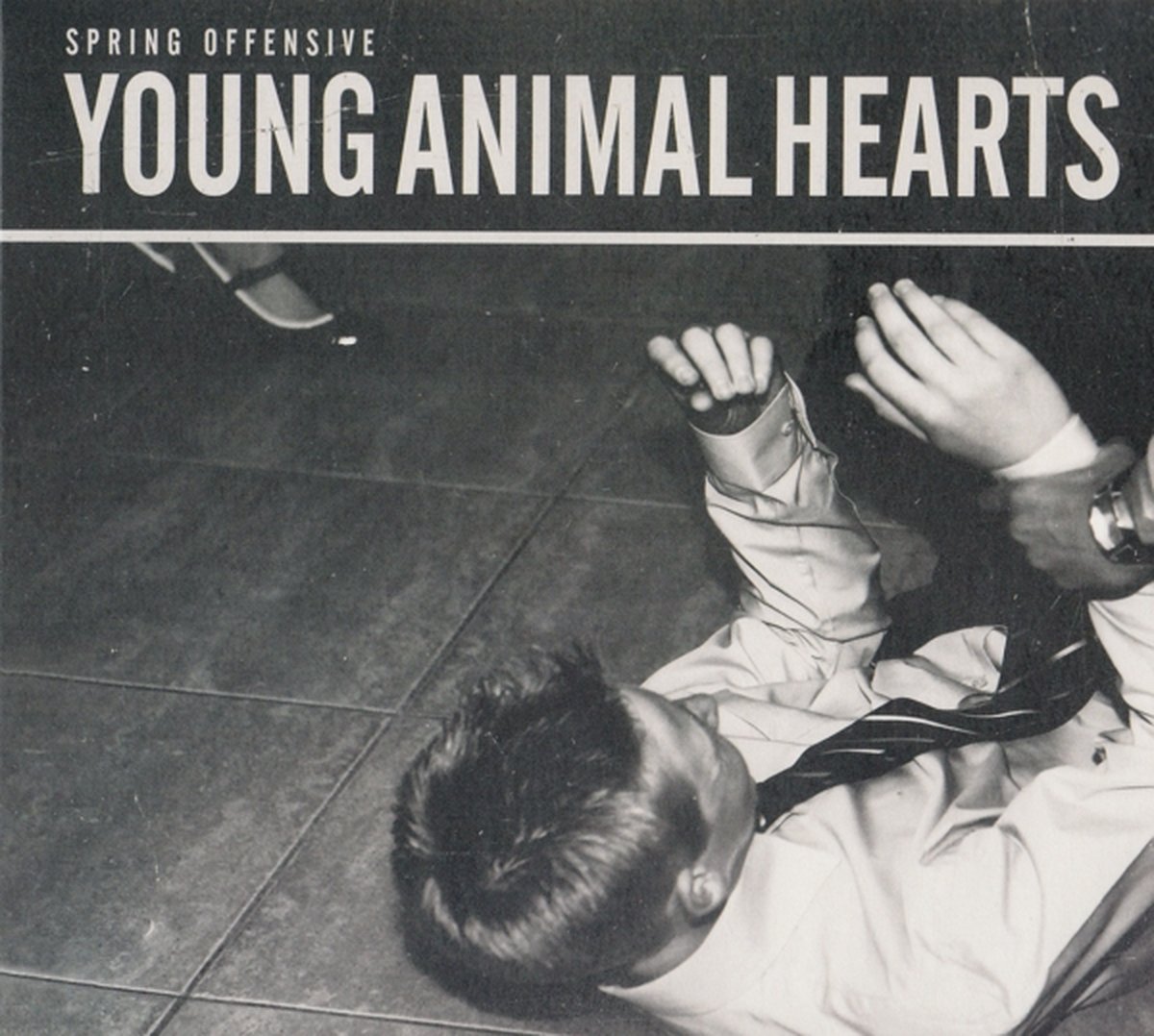 Young Animal Hearts