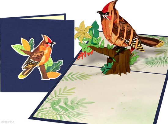 Foto: Popcards popupkaarten rode kardinaal zangvogel vogel siervogel natuur vriendschap verjaardag trouw huweijk felicitatie pop up kaart 3d wenskaart