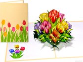 Cartes popup Popcards – Carte fleur. Anniversaire Fleurs Tulipe Holland Nederland Amitié Félicitations Get well soon carte pop-up Carte de voeux 3D